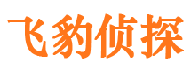 莒南市私家侦探